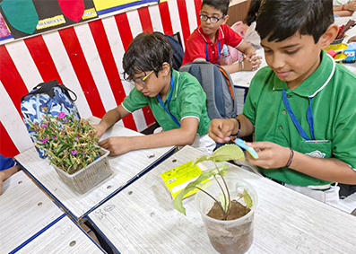 Experiential Learning